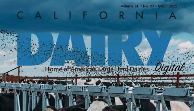 READ – March 2025 Issue