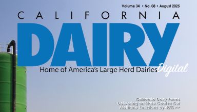 READ – August 2025 Issue