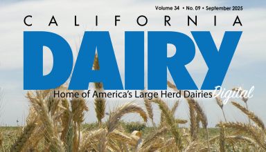 READ – September 2025 Issue