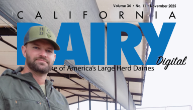 READ – November 2025 Issue