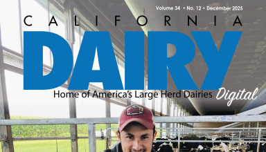 READ – December 2025 Issue