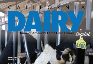 READ – January 2026 Issue