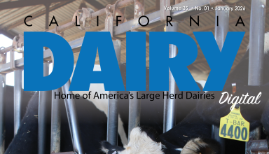 READ – January 2026 Issue