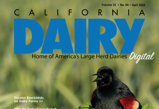 READ – April 2026 Issue