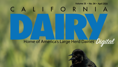 READ – April 2026 Issue